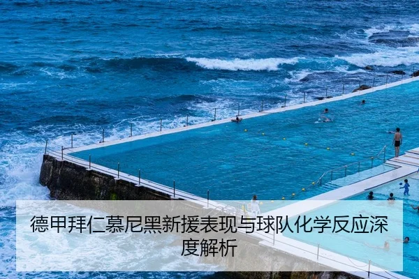 德甲拜仁慕尼黑新援表现与球队化学反应深度解析